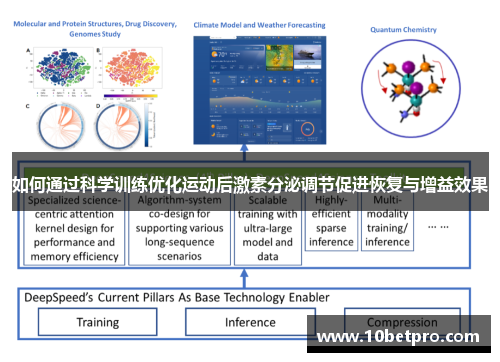 如何通过科学训练优化运动后激素分泌调节促进恢复与增益效果