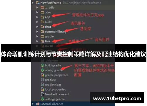 体育增肌训练计划与节奏控制策略详解及配速结构优化建议