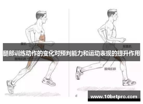 腿部训练动作的变化对预判能力和运动表现的提升作用