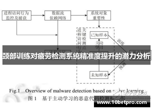 颈部训练对疲劳检测系统精准度提升的潜力分析